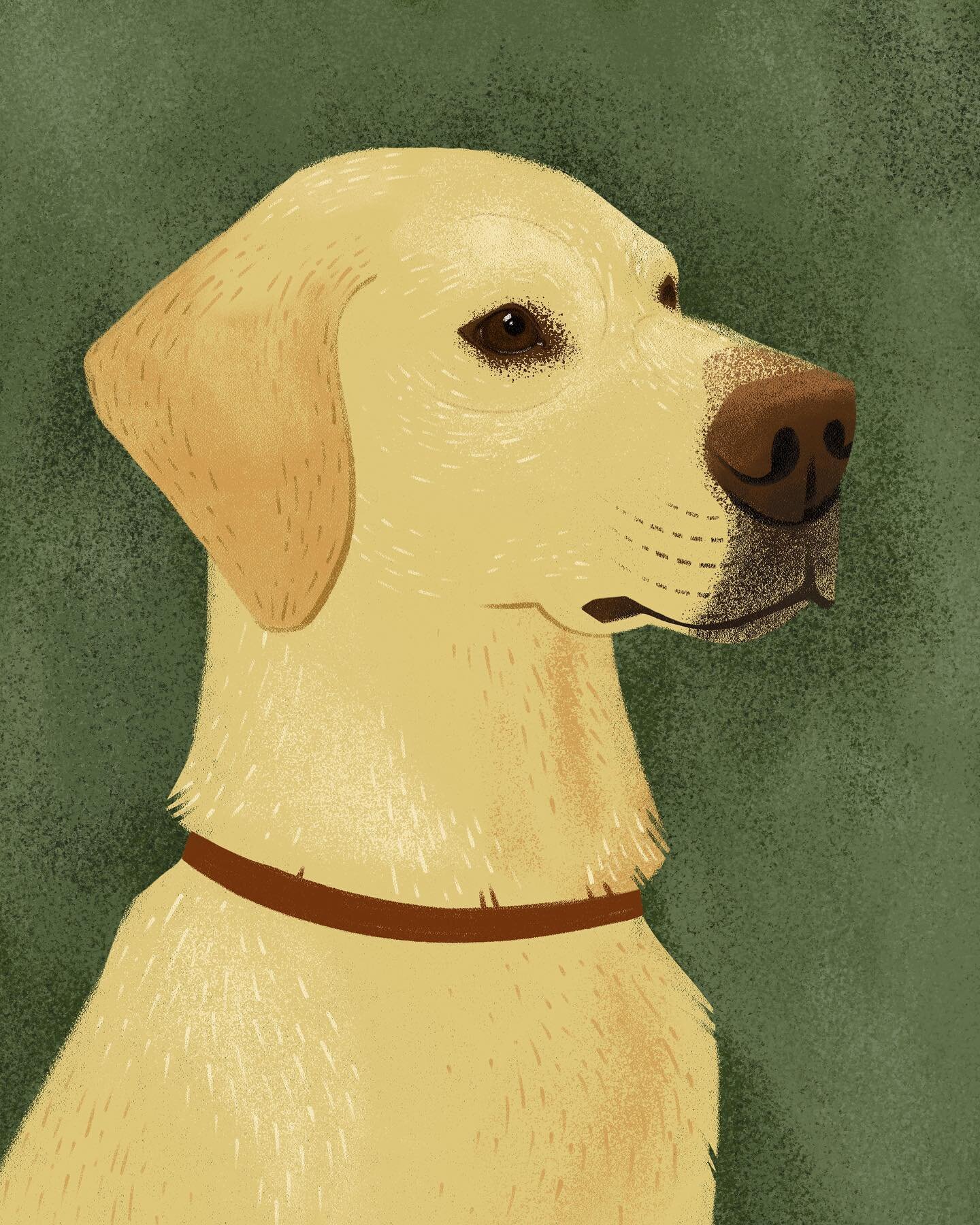 More dog portraits! I am so grateful for everyone who has taken to these and the opportunities to draw your dogs. I can&rsquo;t say it enough, if all I ever got to draw was dogs, I would be one happy person.
#dogsofinstagram #dogportrait #dogillustra