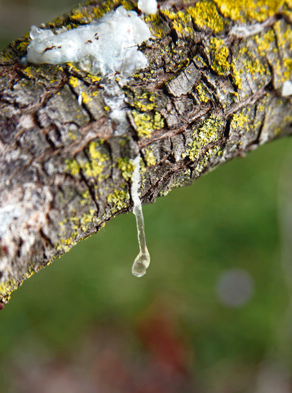 _MG_2812.jpg