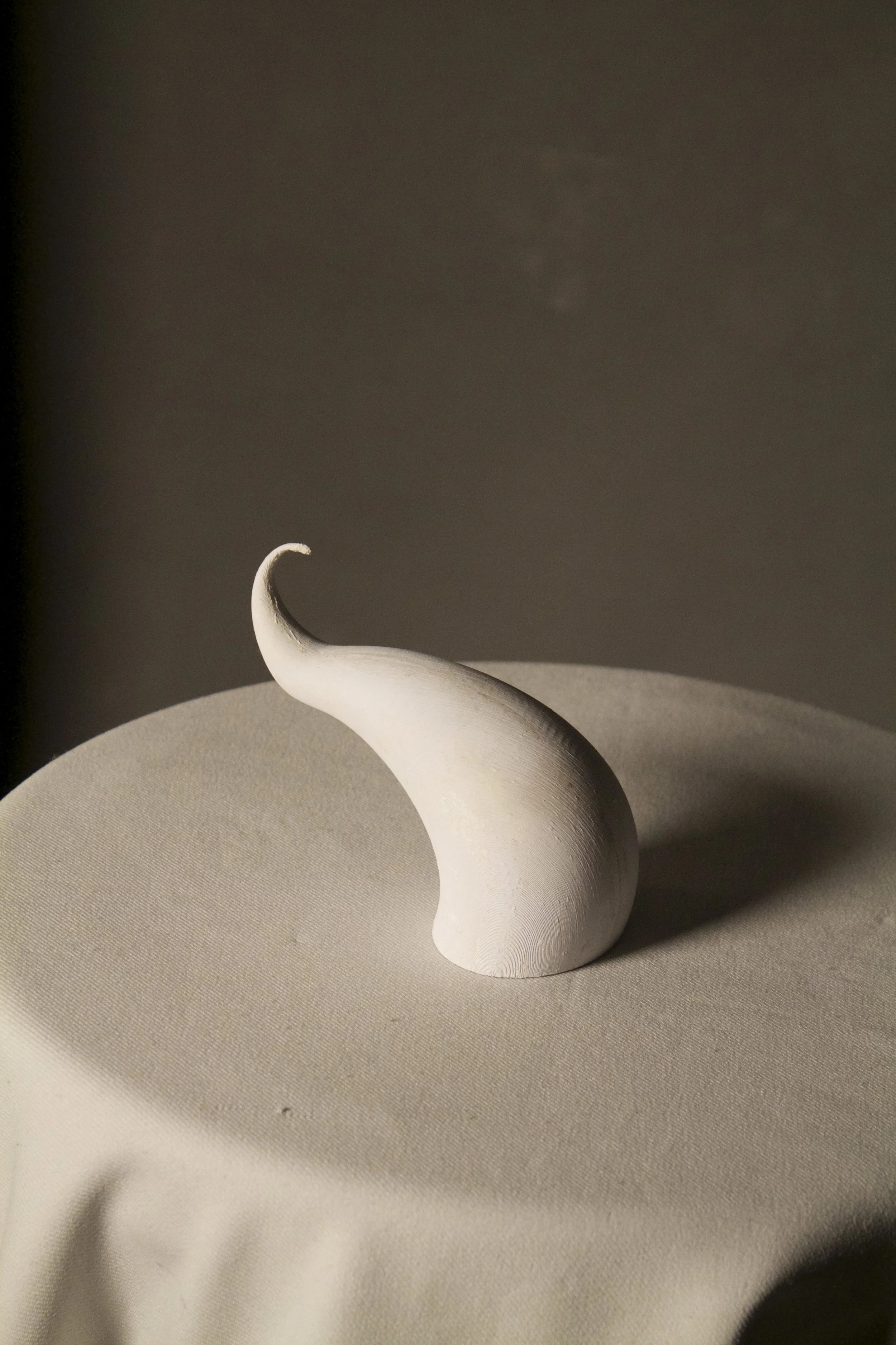 horn(1).jpg