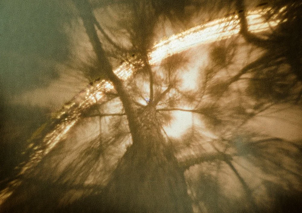 solargraphy-1.jpg