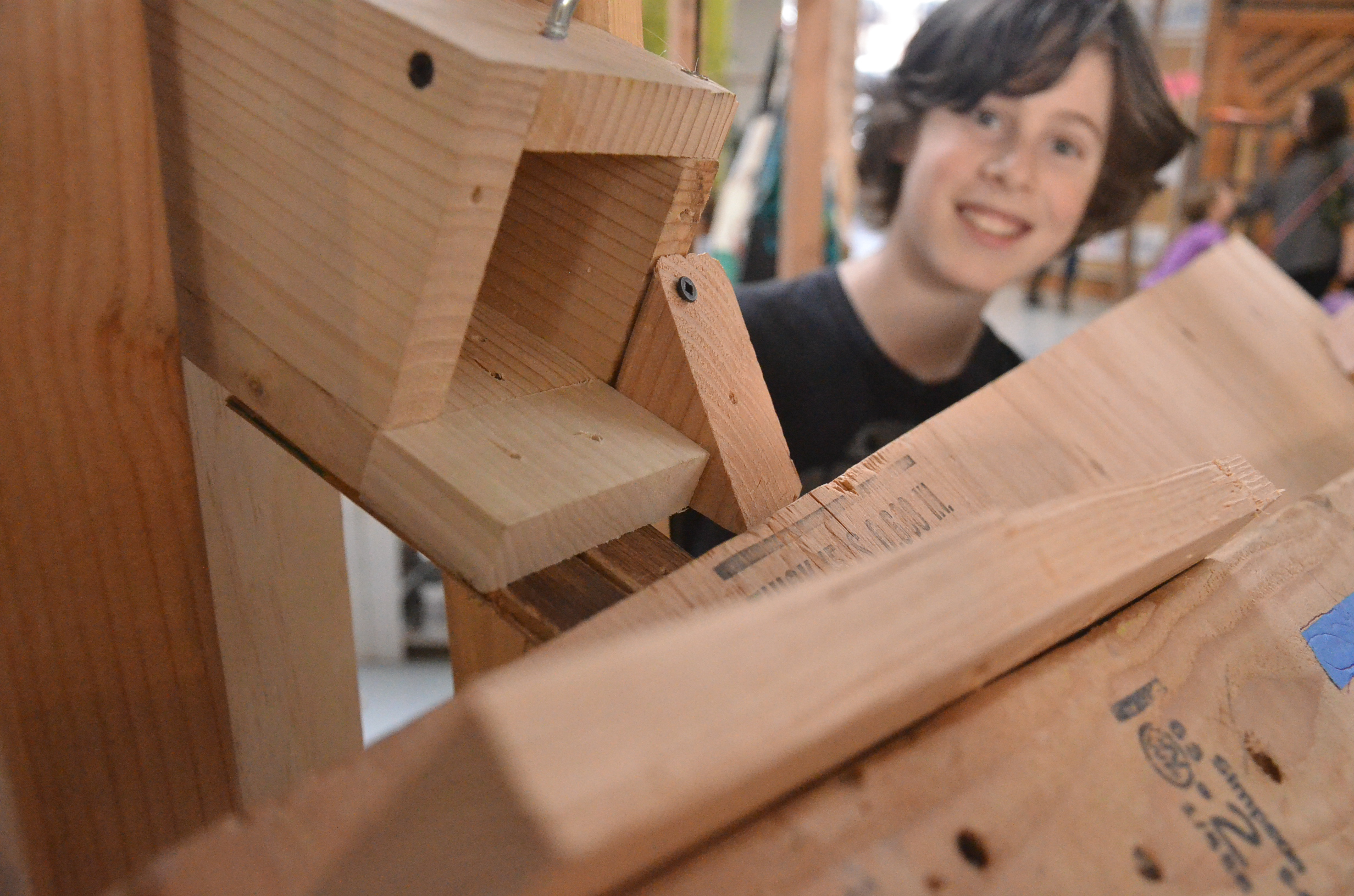 Rube Goldberg Elevator