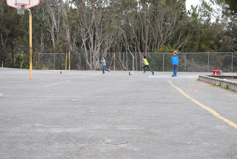_DSC0703.jpg
