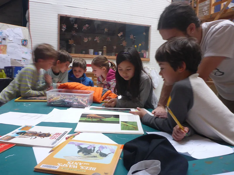 BE A BUG! Design day!