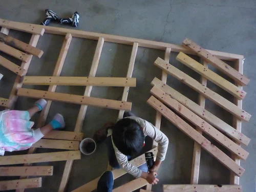 It's Raining Cats and Dogs! - Session 3 - Day 3: When Dogs Have Wings