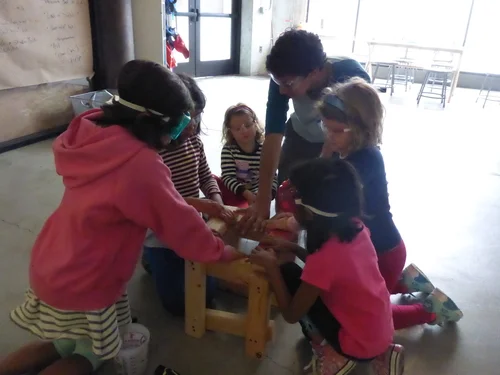 It's Raining Cats and Dogs! - Session 3 - Day 2: In the Thick of It