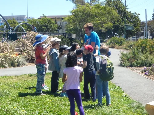 It's Raining Cats and Dogs! - Session 3 - Day 1:  A Storm is Brewing