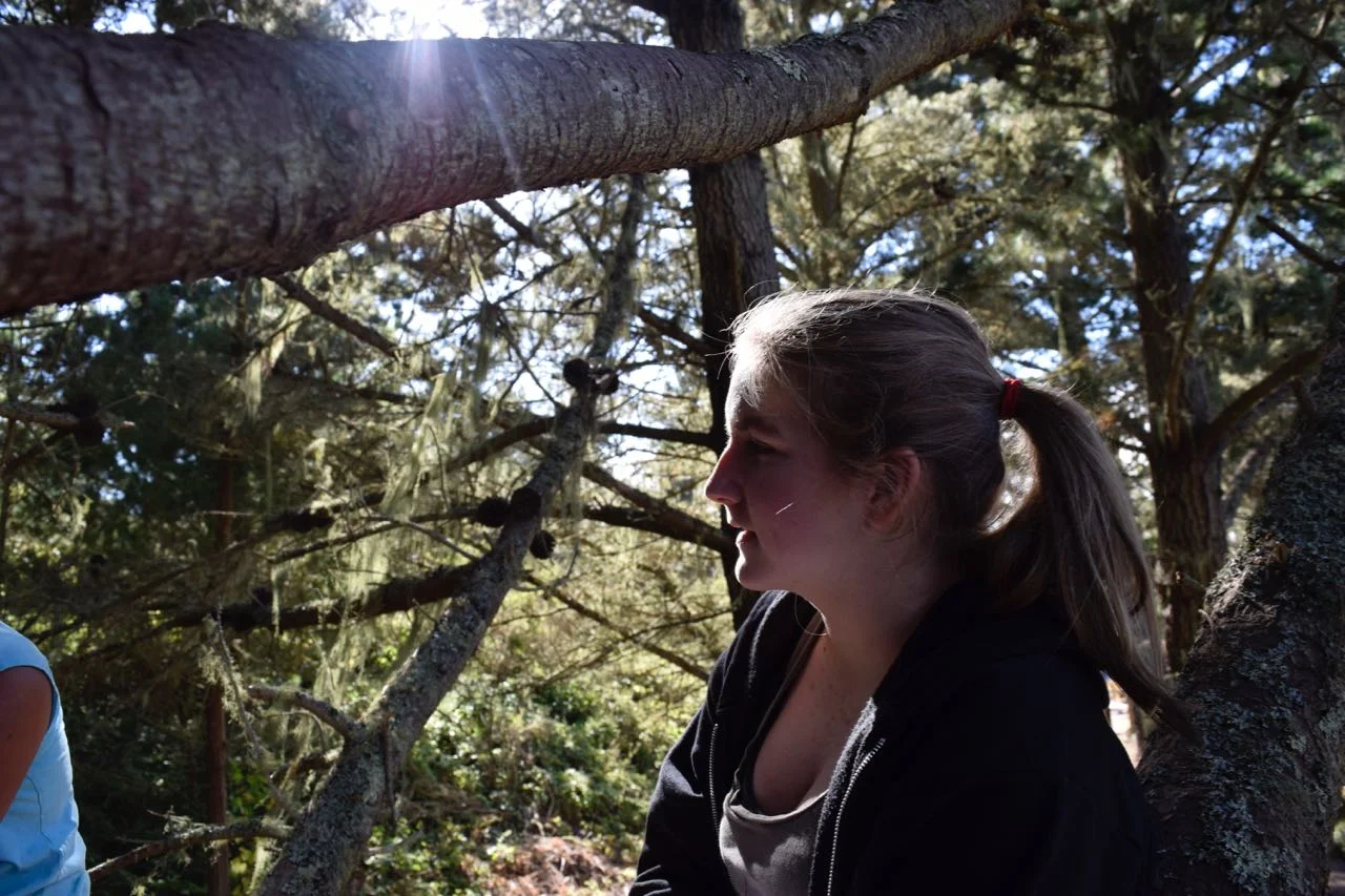 Portrait of a tinkerer, Sarah P., collaborating in a tree.