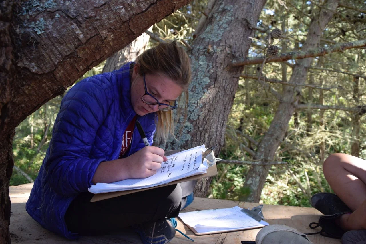 Merritt contributes to important list making.