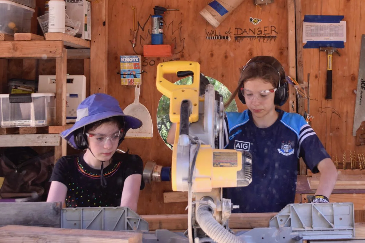 Victoria and Onion have become a powerful work duo. Onion asked, "Is it possible to cut two pieces of wood at the same time?"