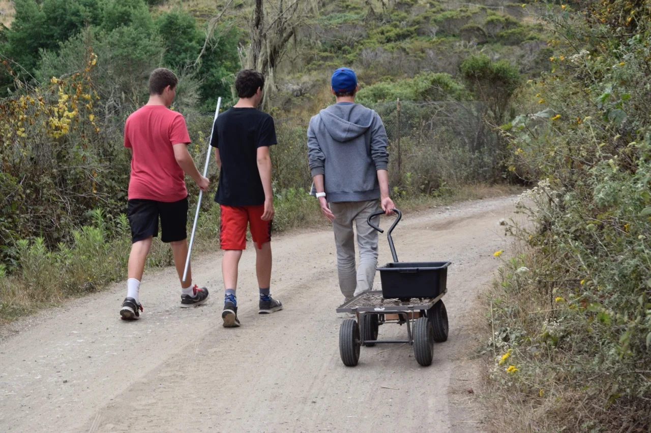 Jared, Dylan and Daniel bring the compost bin down to the barn to feed the animals.&nbsp;