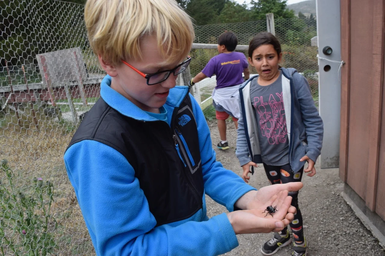 Ryker V. finds a beetle to Sofia's dismay.