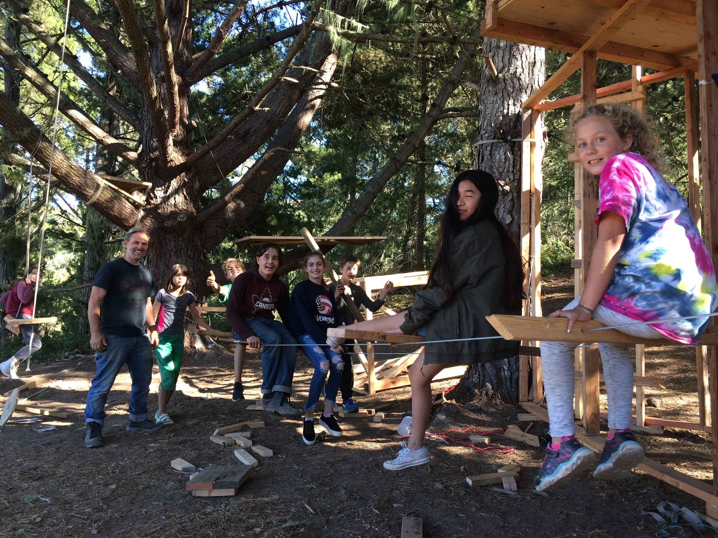 TSO-C/D - Day 10 - Steady Progress