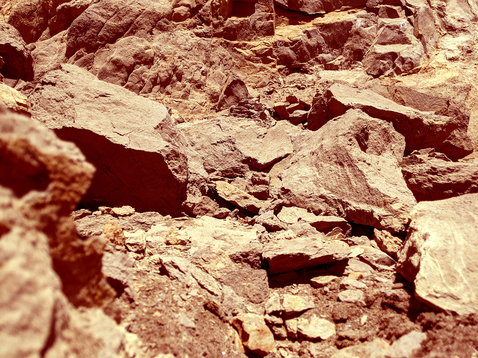 mars rocks.jpg