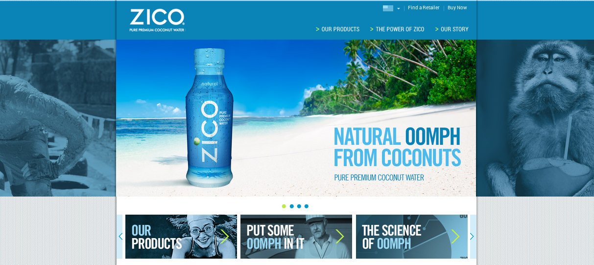 zico site 2.png