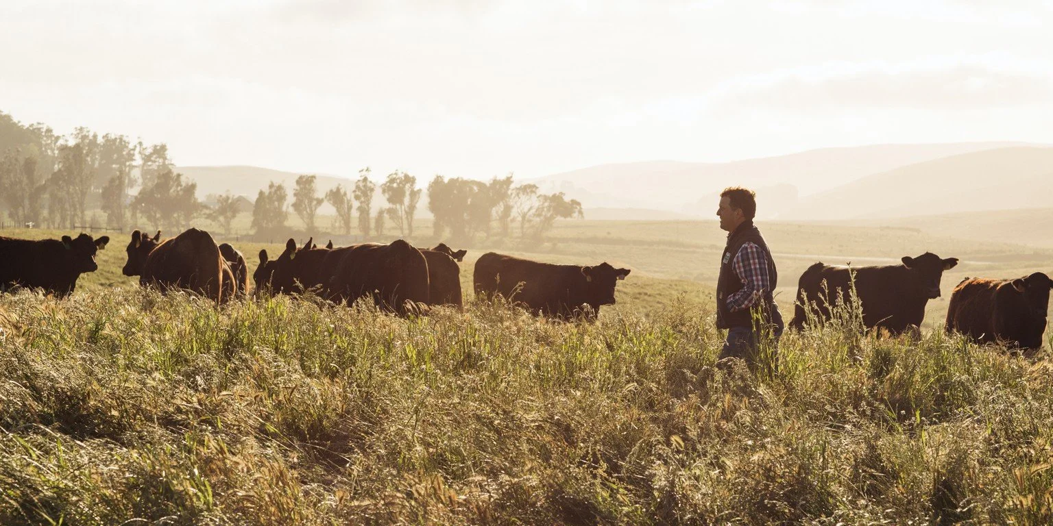 stemple_creek_ranch_cover.jpg
