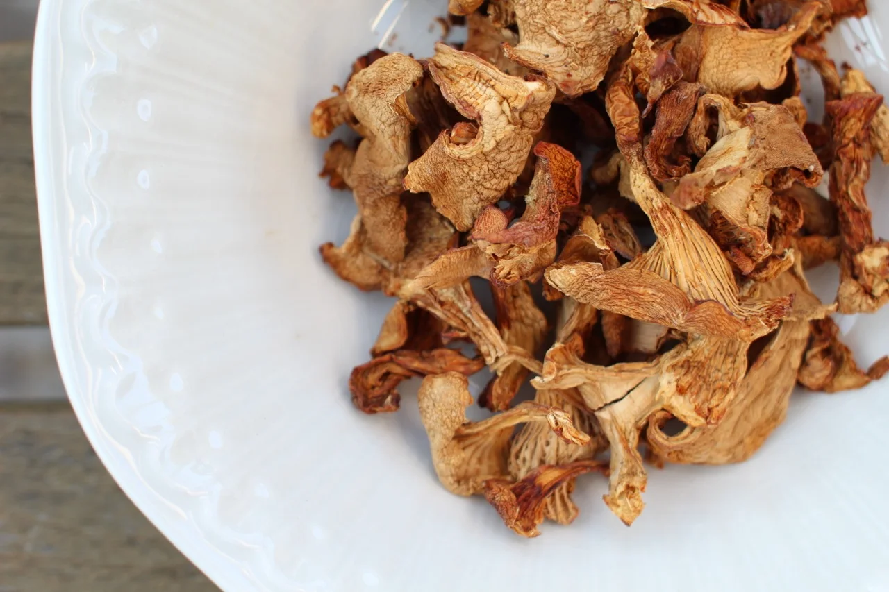 mushrooms1.jpg
