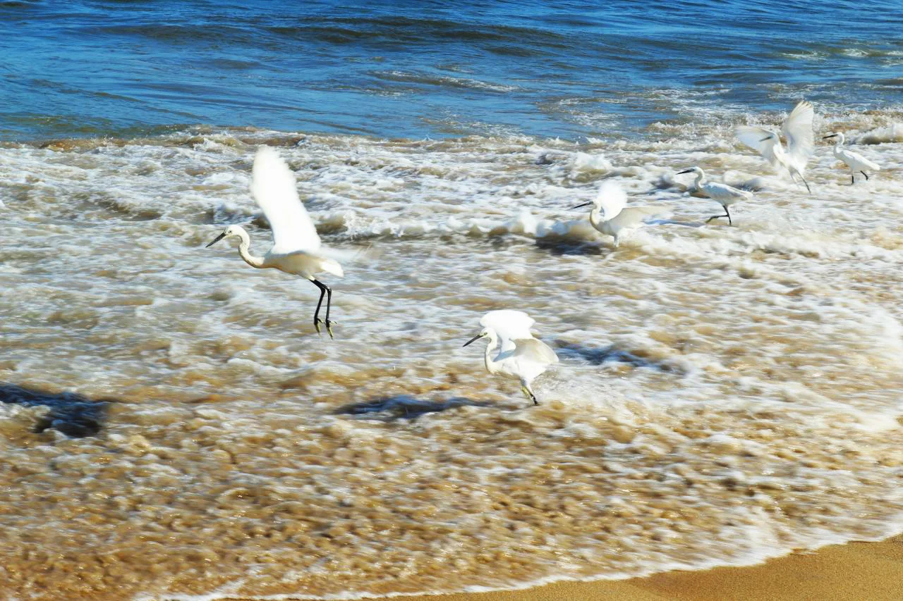 beach.jpg