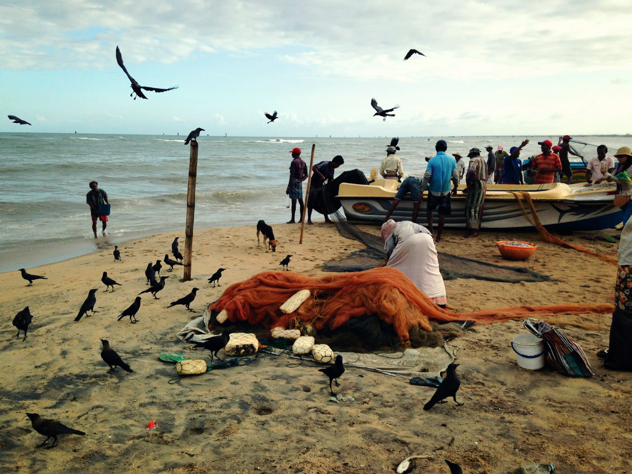 IMG_6447 copy.jpg
