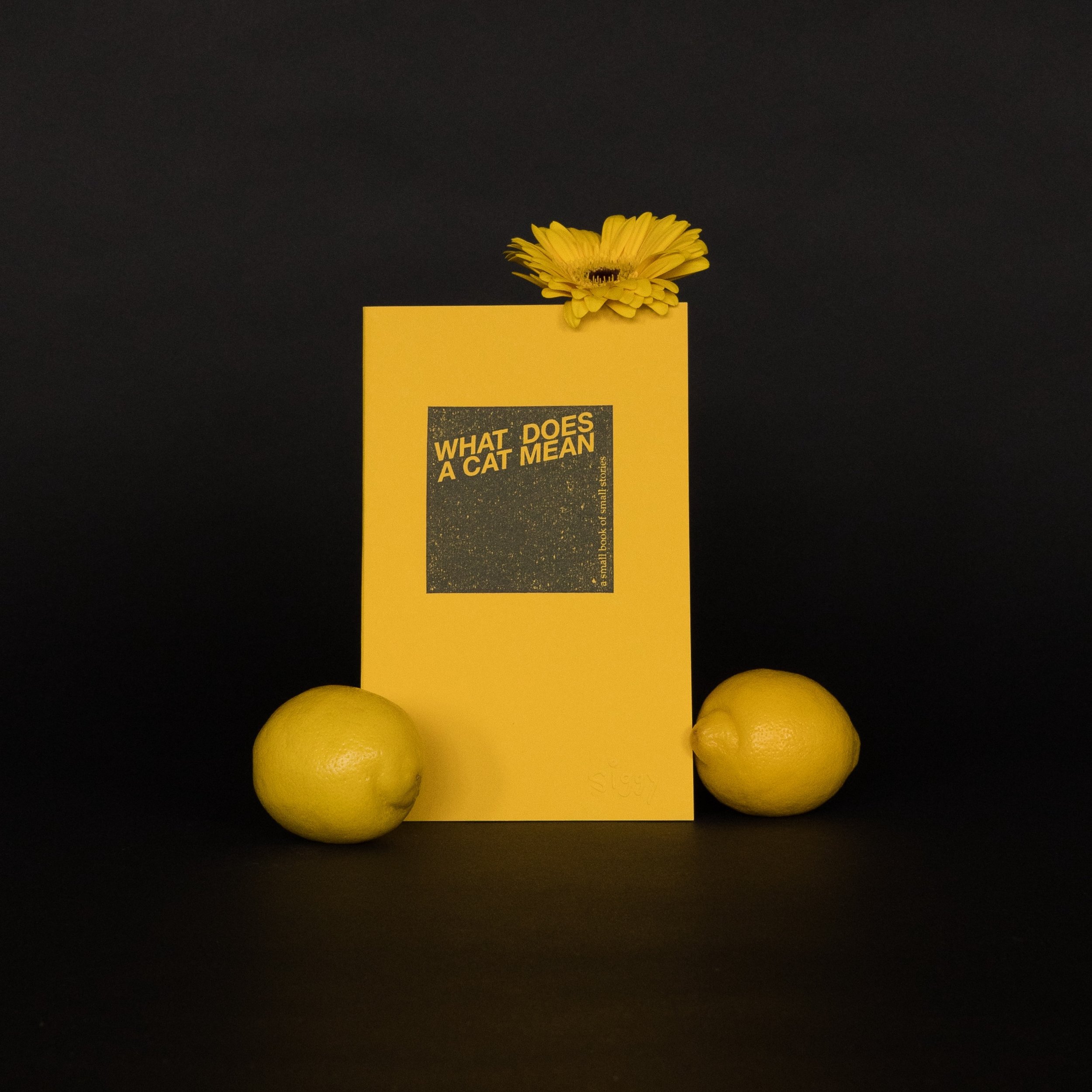 Canary Yellow