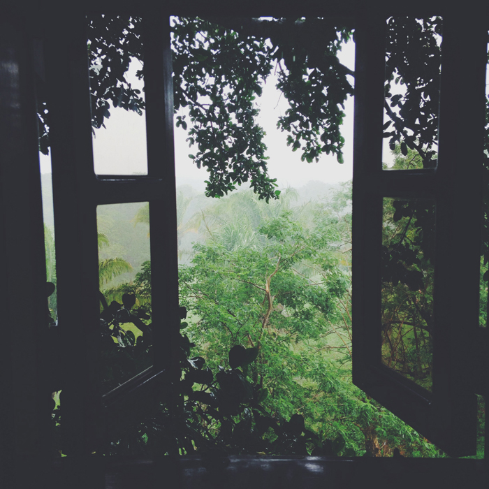 yoursmadly_020615_7.jpg