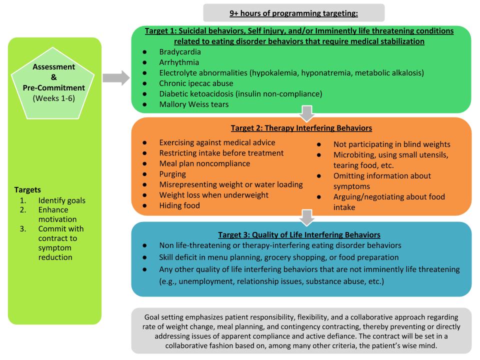 DBT+for+ED+PBS+website+flowchart.ppt+(2).jpg