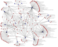 A diagram of the Internet