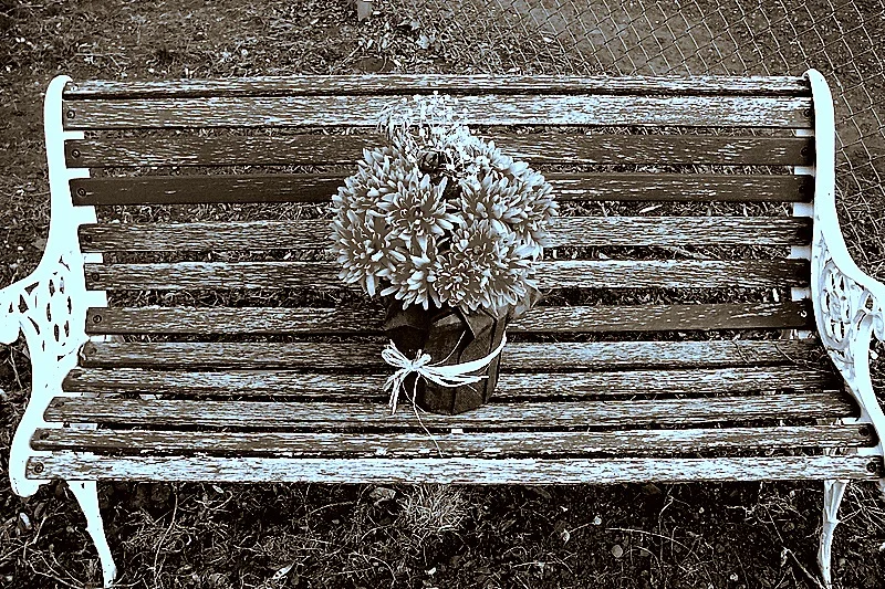 pretty flowers