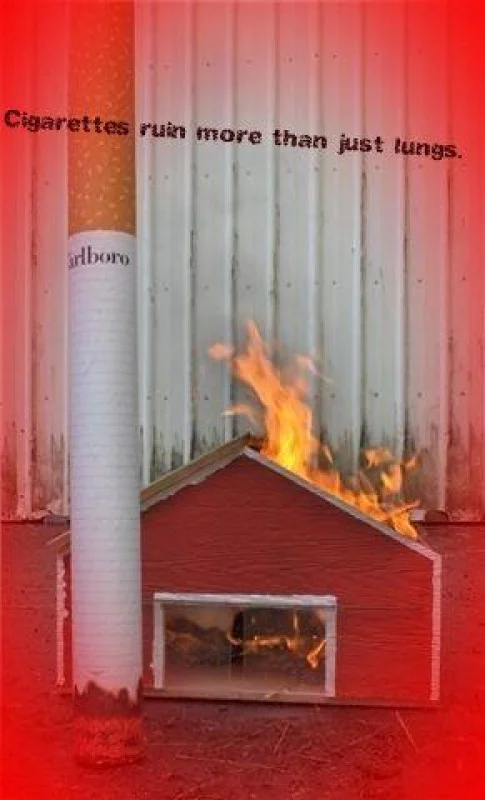 Cigarettes ruin more than just lungs.