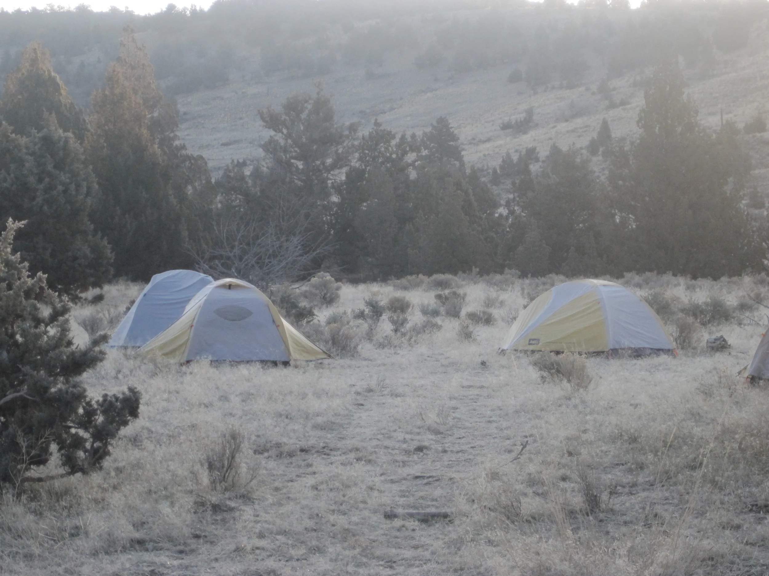 Gone Camping