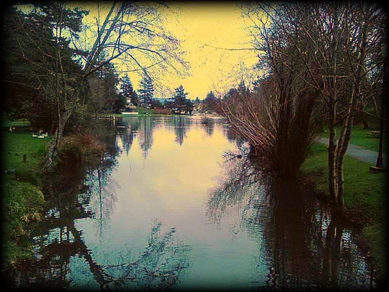 A Walk in Mingus Park