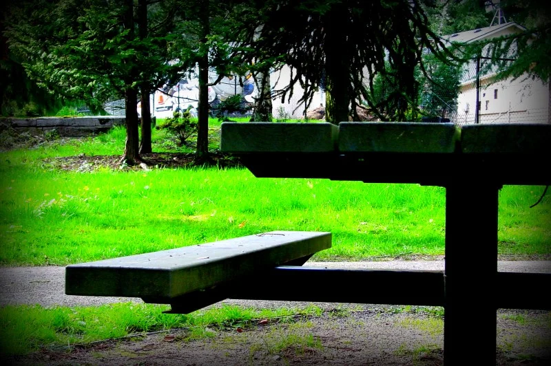 Picnic In a Park With a Question Mark