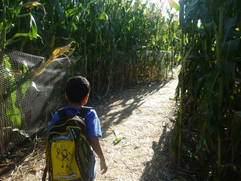 The Right Path