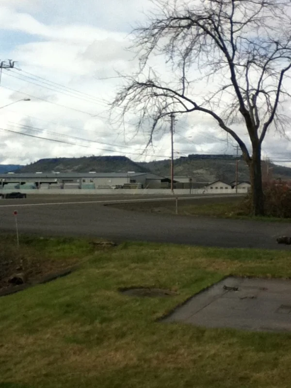 Table Rock Beauty