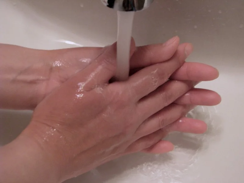 Health in Your Hands