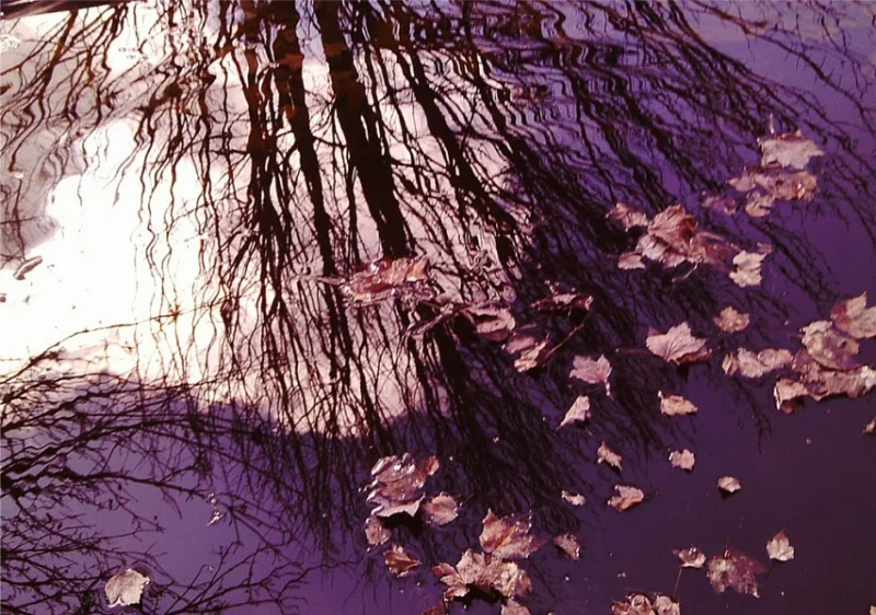 Reflection