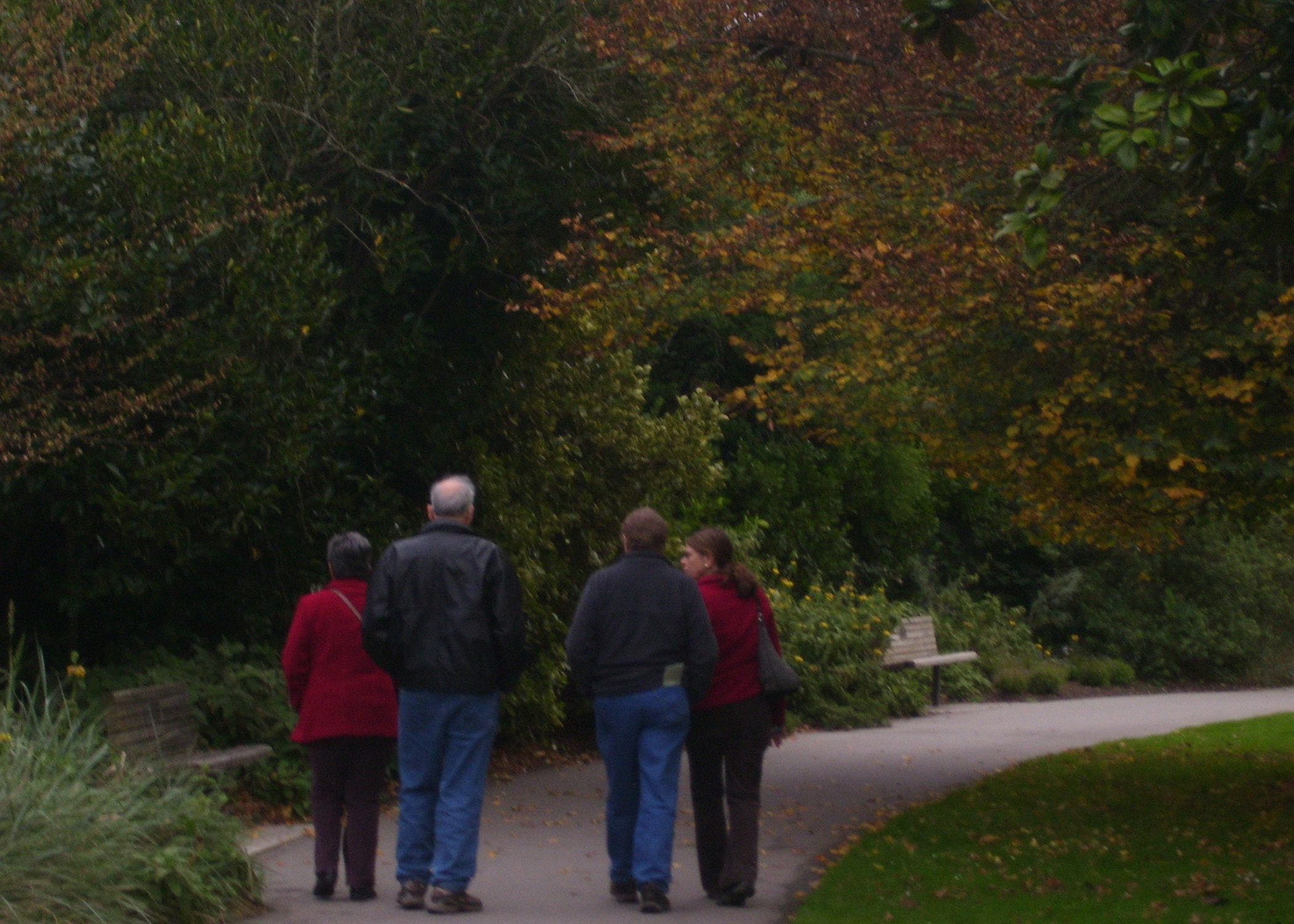 Two Couples Walking
