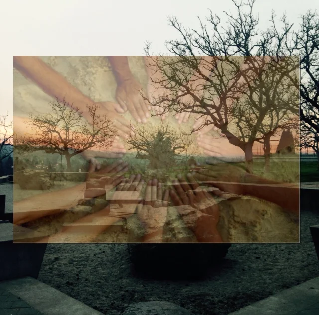 Reflection of a Community