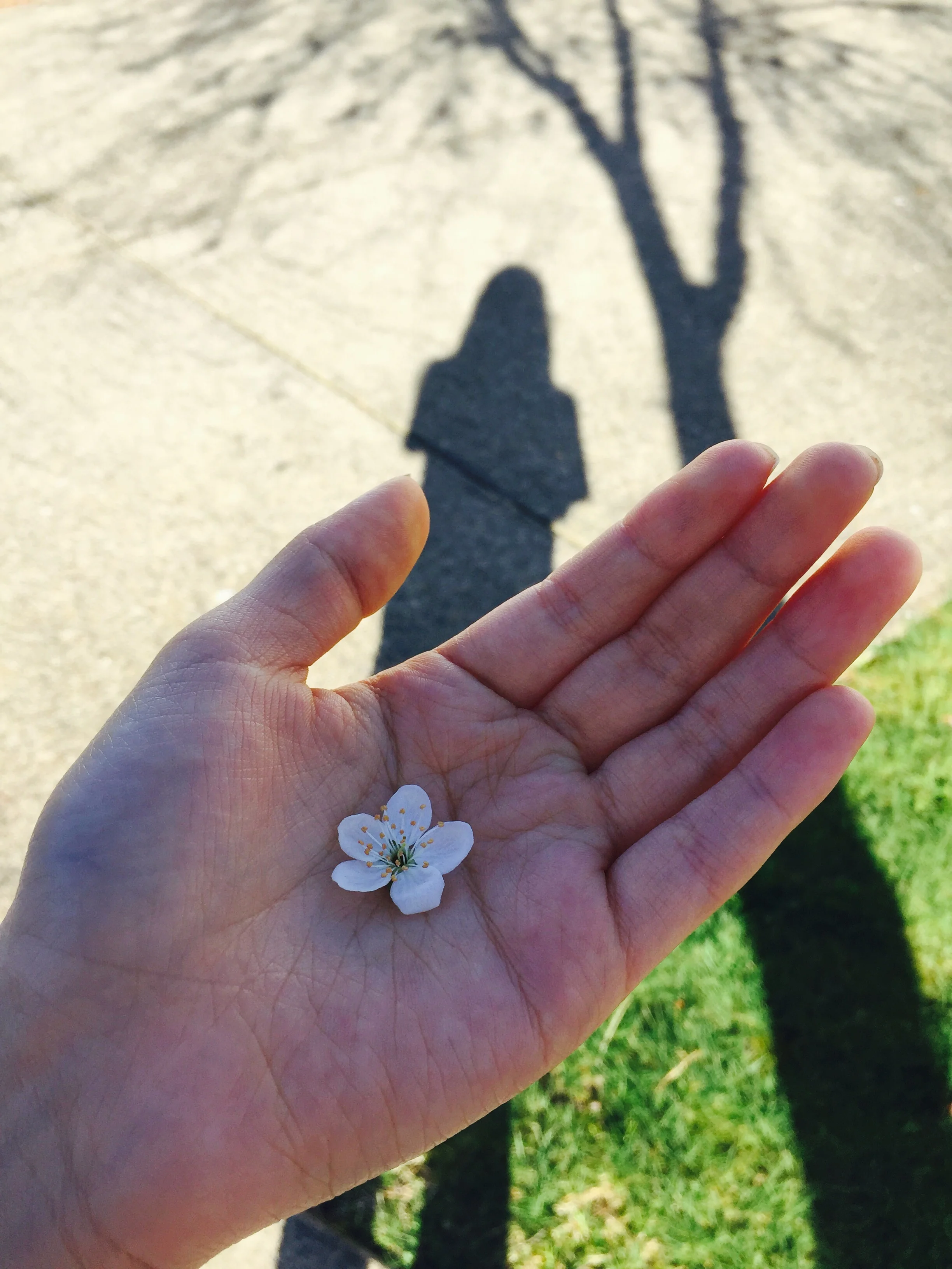 In My Hands