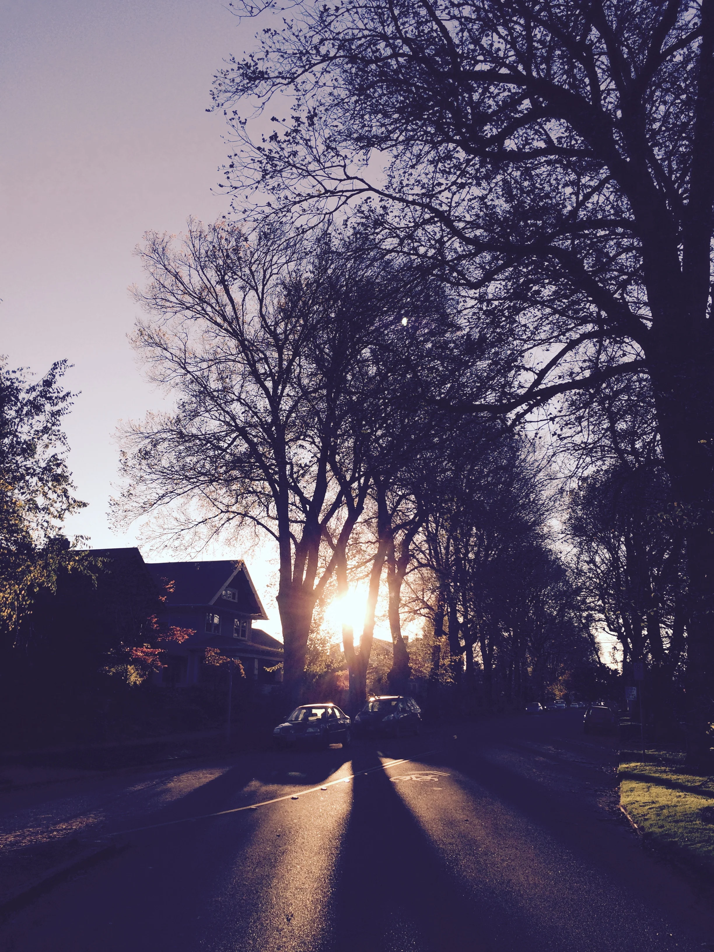 Wherever the Road Goes