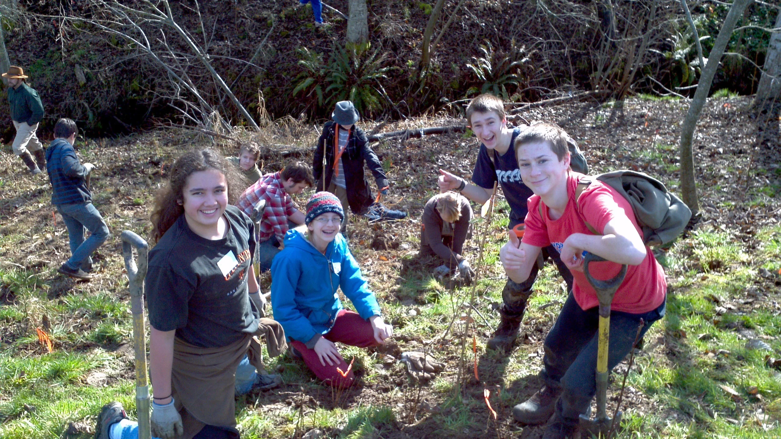 Tree Planting