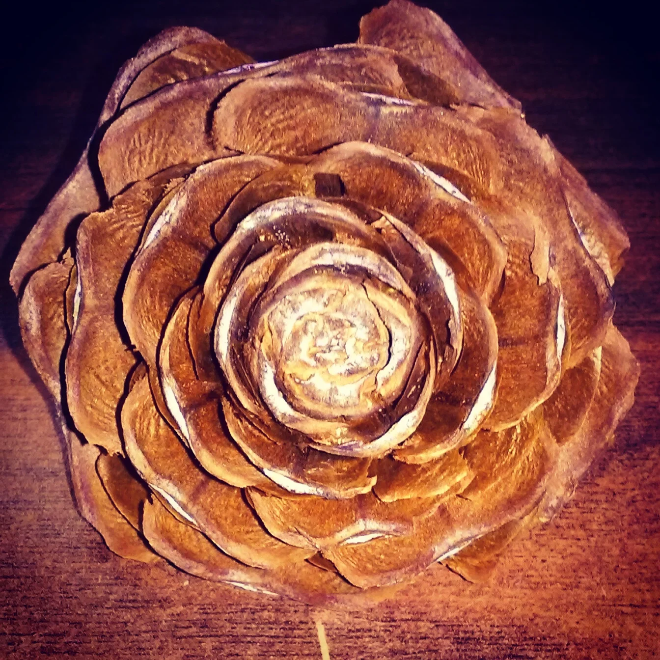 Wooden Rose