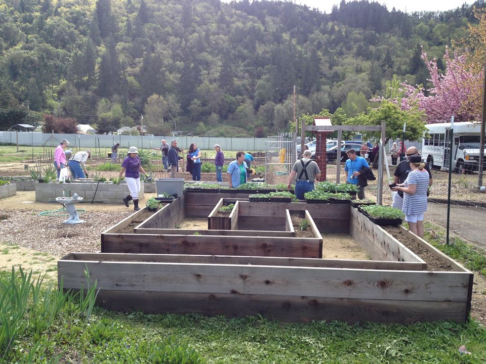 Planting day at westside community garden of roseburg.