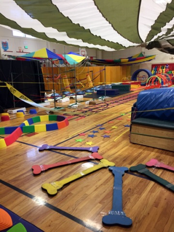 Colorful exercise equipment is spread throughout a school gym.