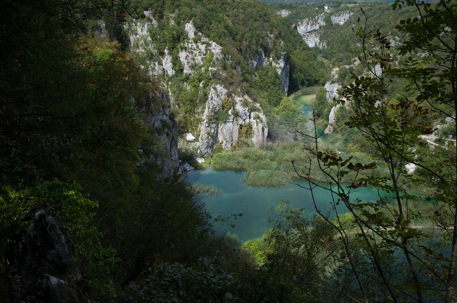 DSCF3717.jpg
