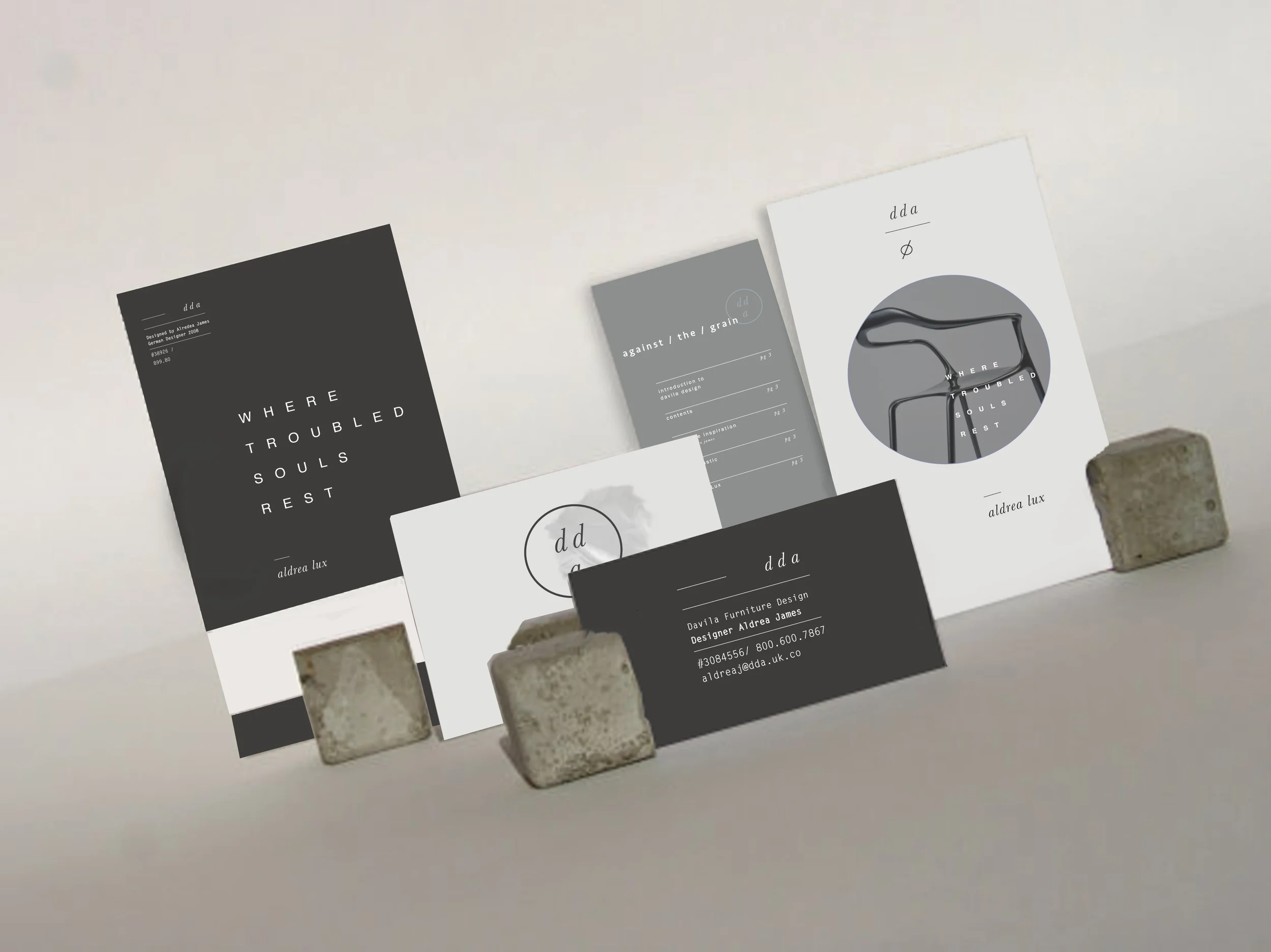 davila brand system.jpg