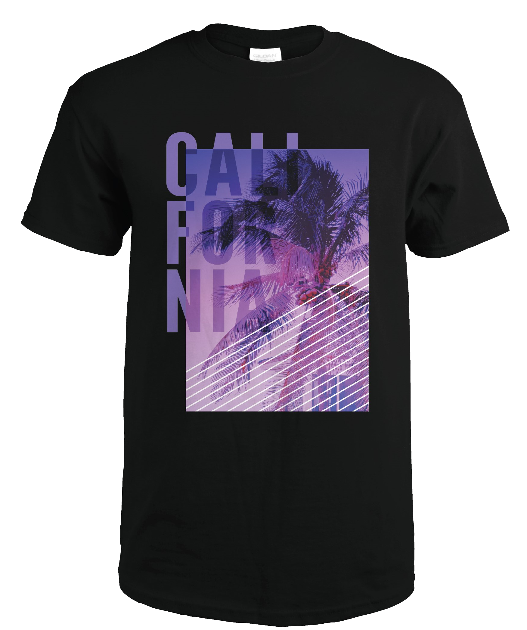 California---Colorful-Photo-and-Palm---Apparel.png