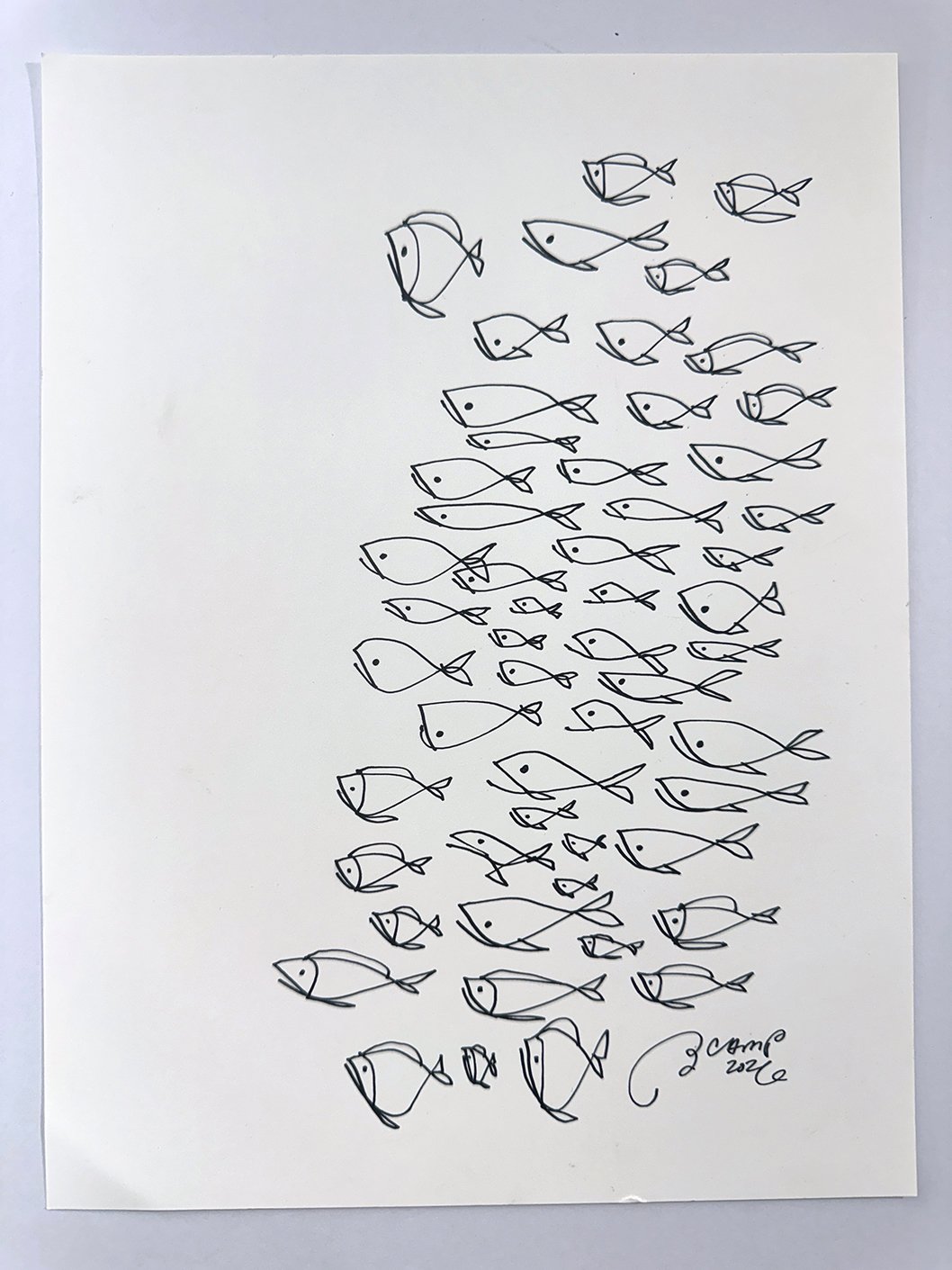FishStudies_01.JPG
