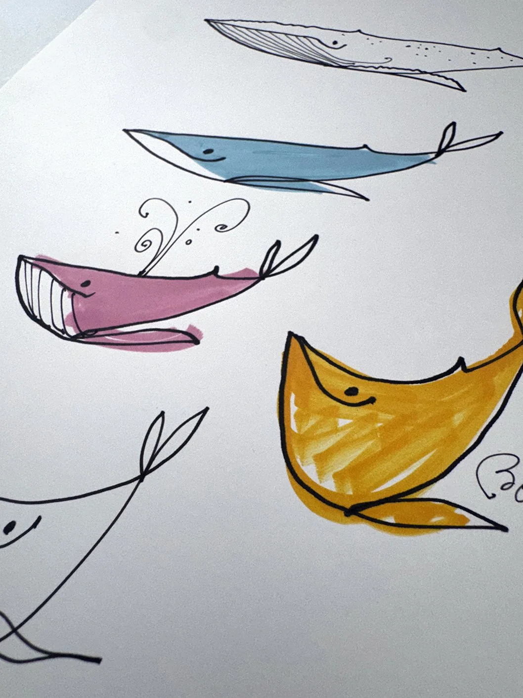 WhaleColors_02.JPG