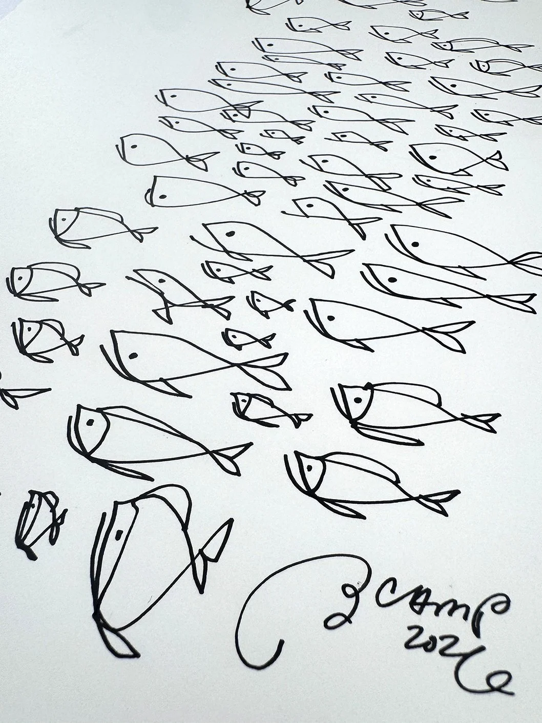 FishLines_02.JPG
