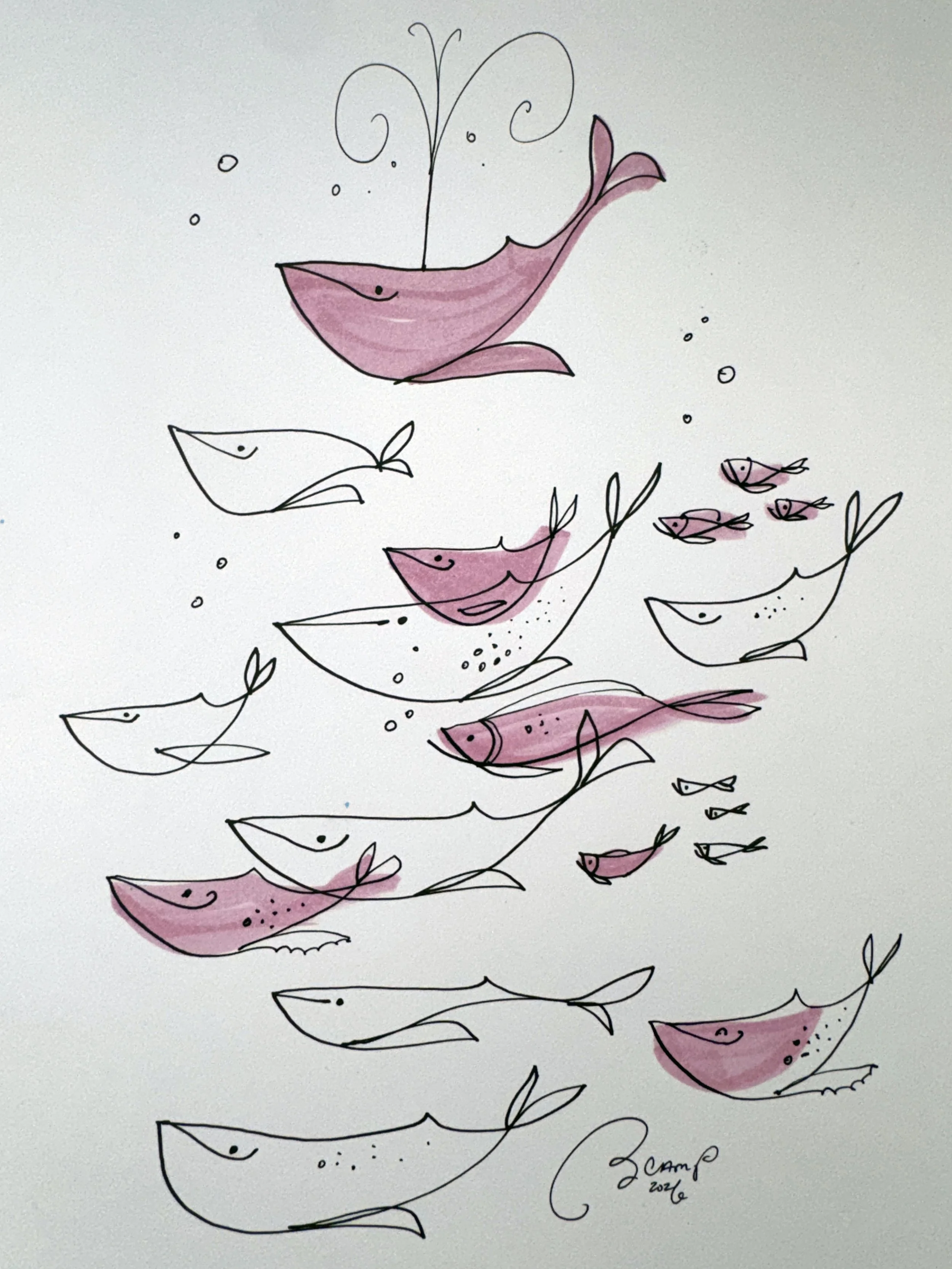 WhalesPink_01.JPG
